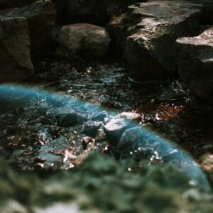 Waters