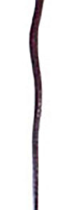14 1/2" Snake wand
