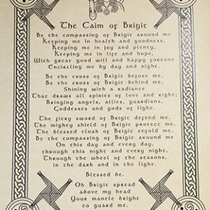 Caim of Brigit poster
