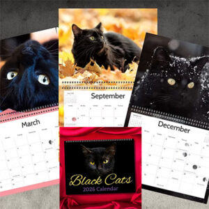 2026 Black Cats Calendar